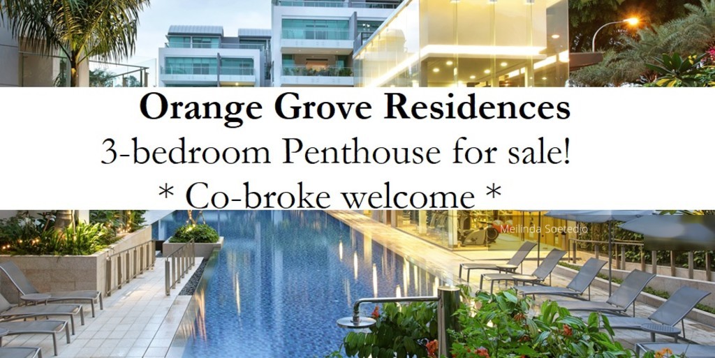Orange Grove Residences (D10), Condominium #183627442